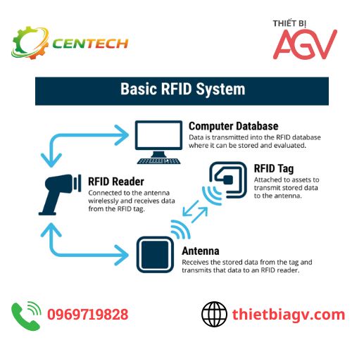 Nên chọn thiết bị RFID nào? Cách chọn đúng và tiết kiệm chi phí